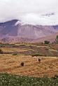 WT 1000 183-24 Nepal